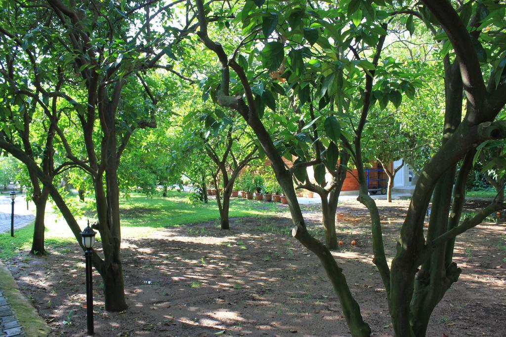 Yildiz Pension Bungalows Çıralı Exteriör bild