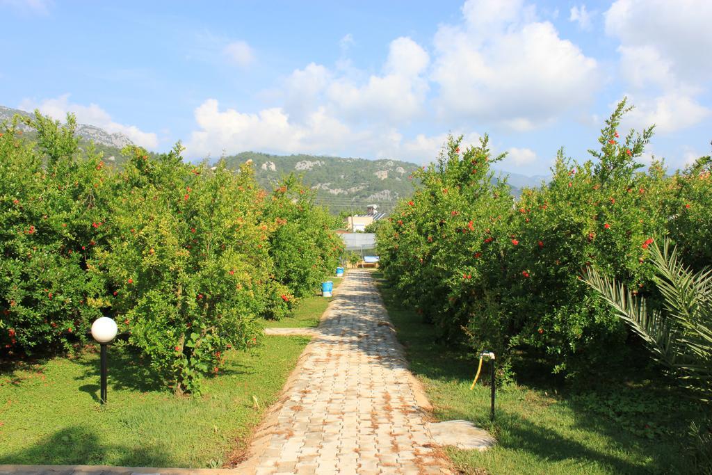 Yildiz Pension Bungalows Çıralı Exteriör bild