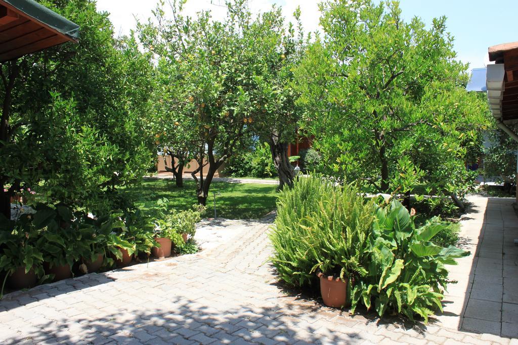 Yildiz Pension Bungalows Çıralı Exteriör bild