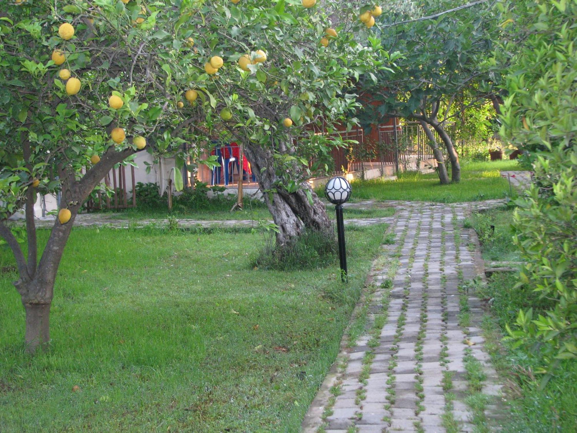 Yildiz Pension Bungalows Çıralı Exteriör bild