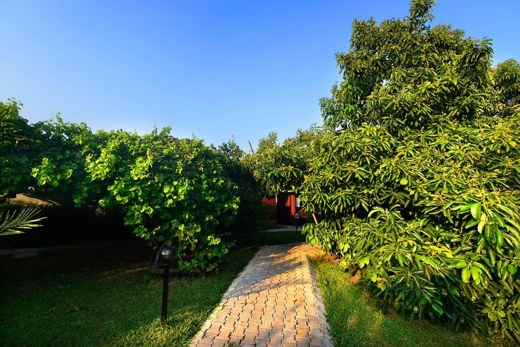 Yildiz Pension Bungalows Çıralı Exteriör bild