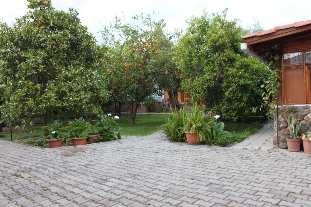 Yildiz Pension Bungalows Çıralı Exteriör bild